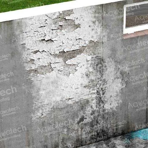 Peeling paint and flaking drylock masonry coating on a concrete foundation wall from hydrostatic moisture pressure