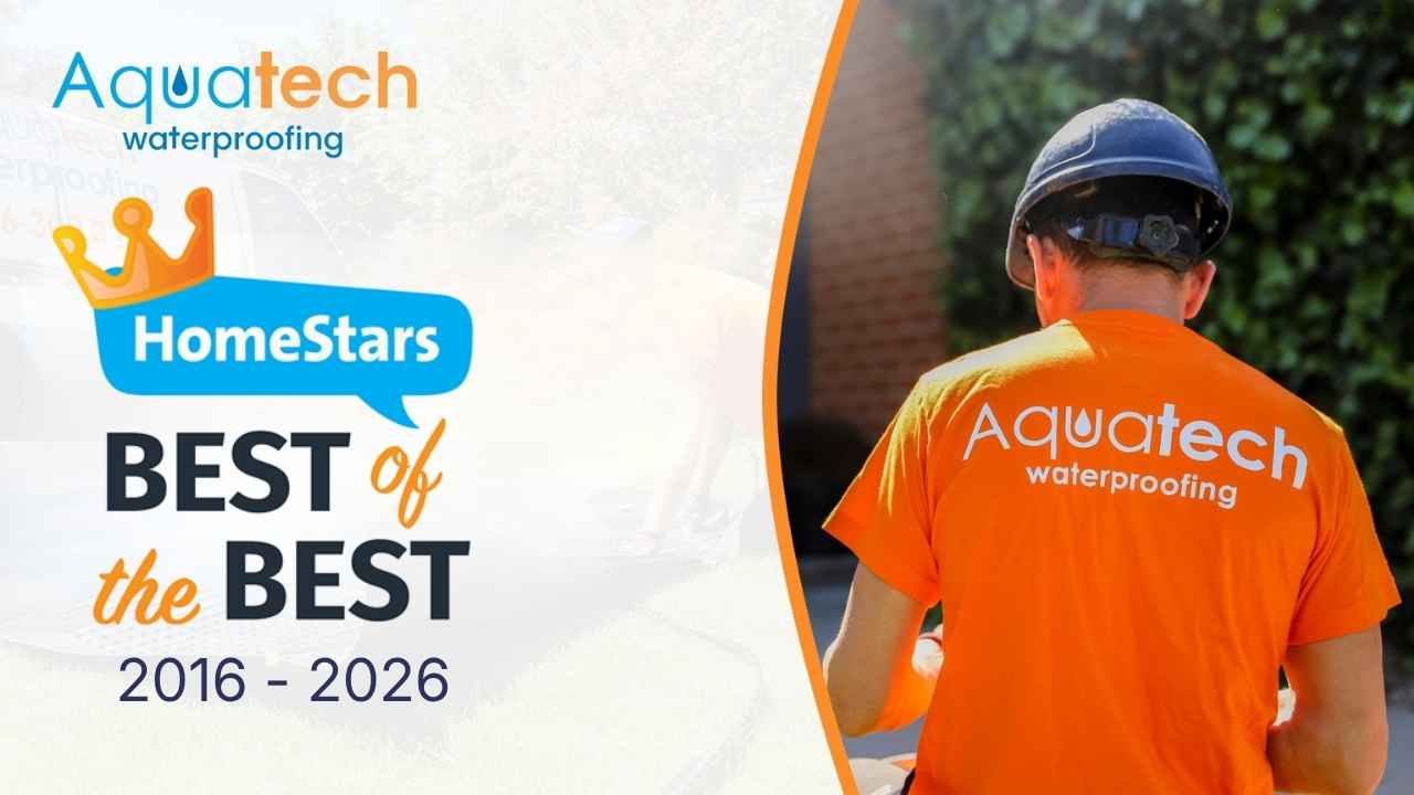aquate home stars winner